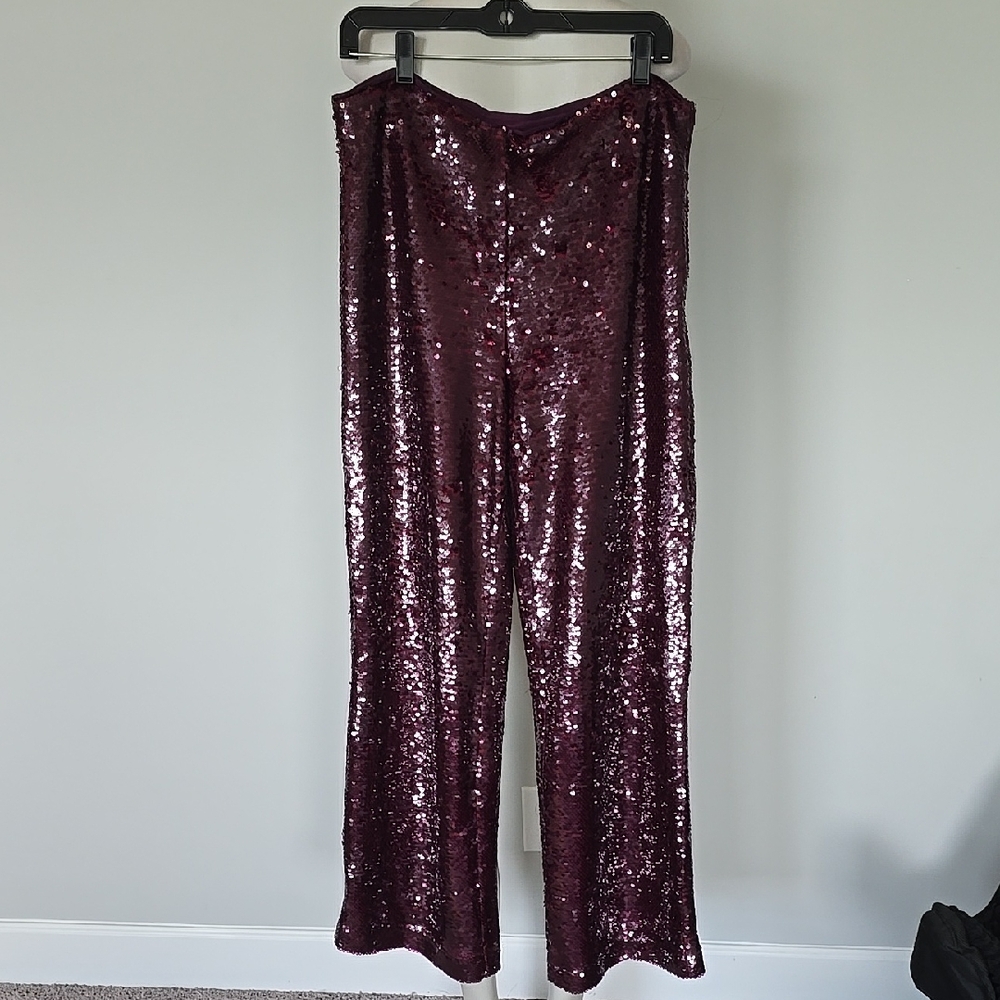 Ann Taylor burgundy sequin pants-12